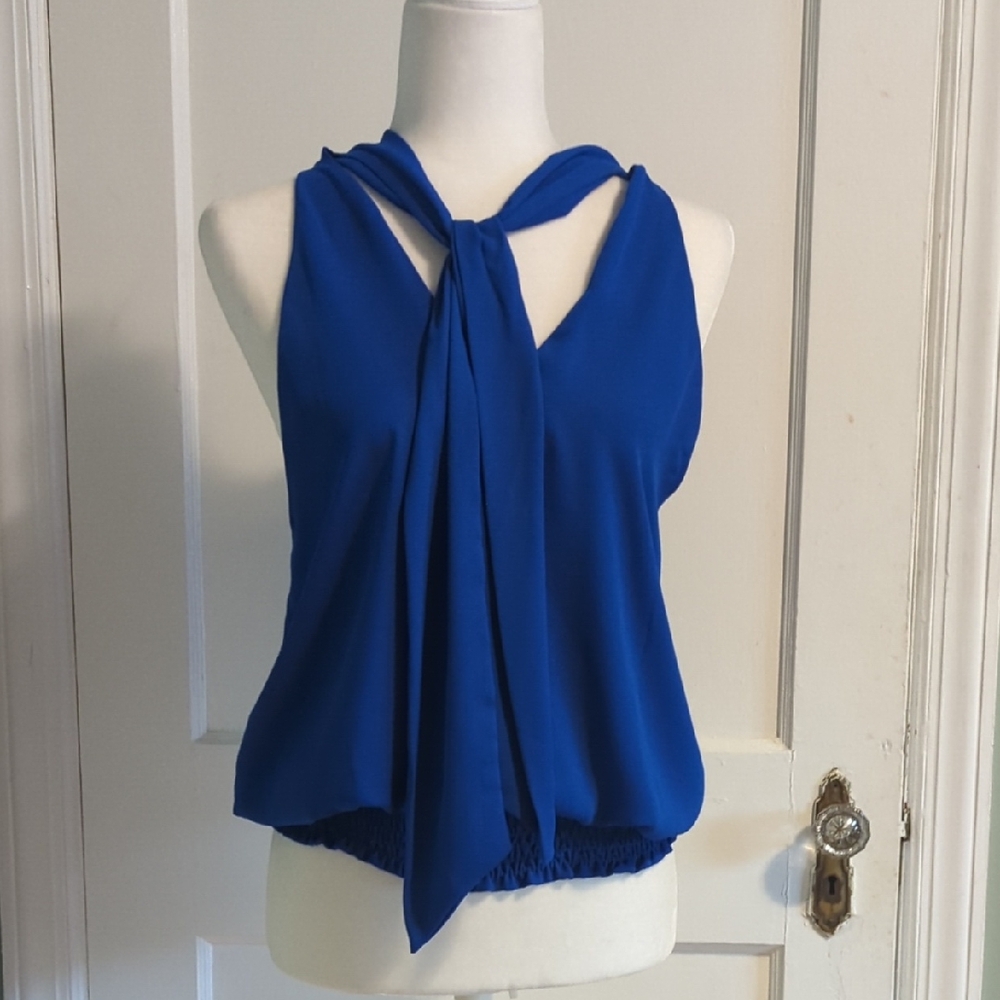 Krisa Blue Sleeveless Blouse